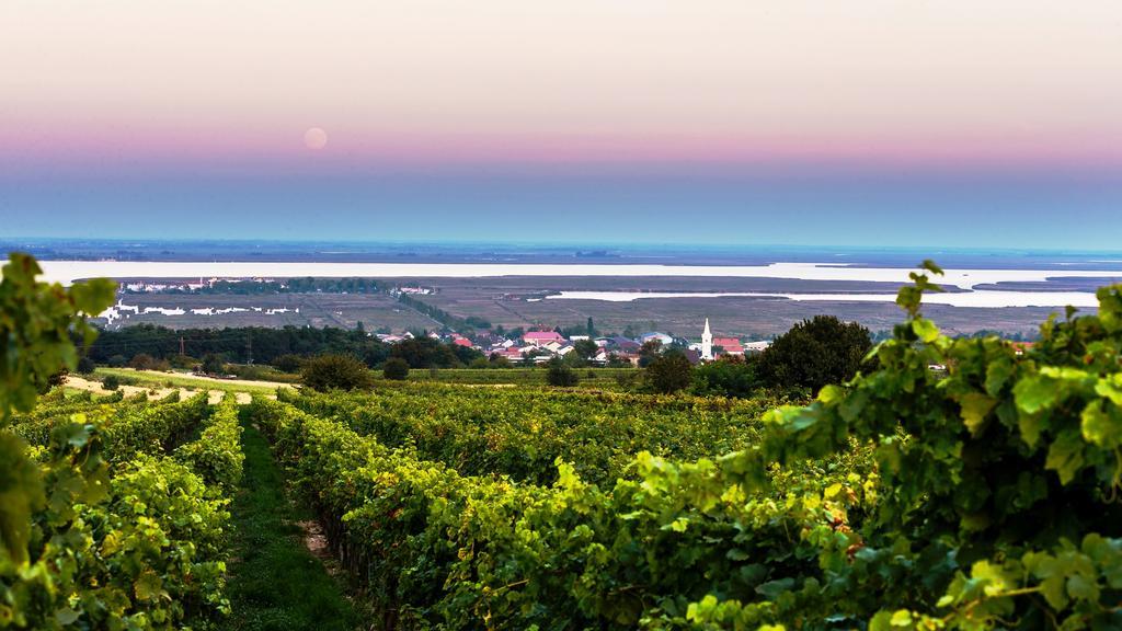 Weingut Franz Schindler Hotel Mörbisch am See Buitenkant foto